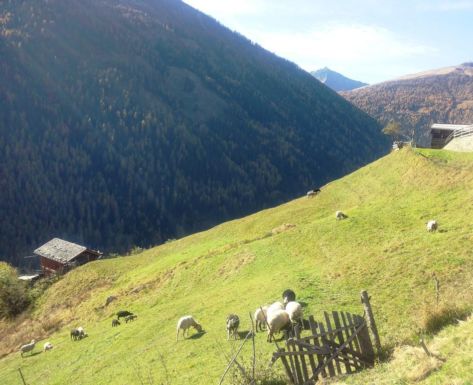 Appartamenti Rabbi Fonti Bagni di Rabbi Exterior foto